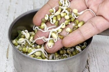 New Breakfast Recipe | Healthy Breakfast Recipe | Kids Lunch BoxRecipe | Green Mung Vegetable Chilla