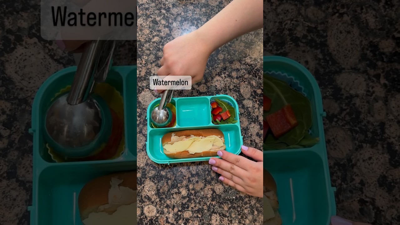 Tasty lunch box idea for kids! YouTube Shorts #shorts #lunchbox #short #foodie Tasty lunch box idea for kids! YouTube Shorts #shorts #lunchbox #short #foodie