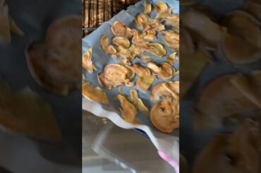 Healthy Vegetable Chips [Healthy Recipes] Day1 #Shorts leaheverecipes