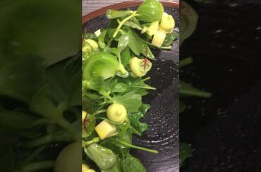 Salad | healthy salad #shorts #ytshorts