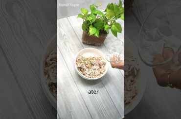 Sweet Potato Recipe | Healthy Recipe | Sweet Potato Pancakes #shorts