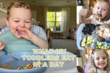 WHAT MY TODDLER EATS IN A DAY | HEALTHY MEAL IDEAS FOR 1-2 YEAR OLDS