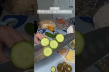 Vegan Cooking Healthy Food Recipes For Beginners!