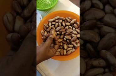 Healthy snacks| Palakottai ladoo| Jackfruit seed recipe| Evening snacks for kids|Healthy ladoo