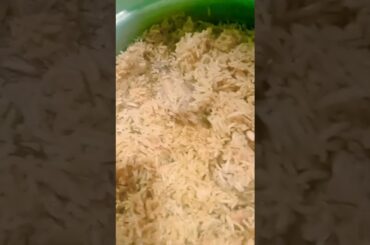 biryani Chicken Recipe delious and healthy food