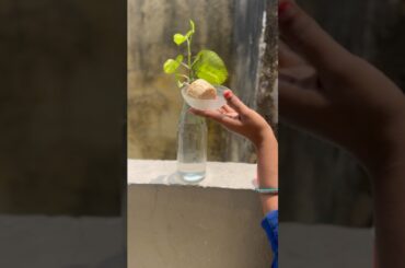 Badaam kulfi #food #reels #recipe #healthy #lunch #desert #sweet #sweets #indiansweetsdesserts #ins