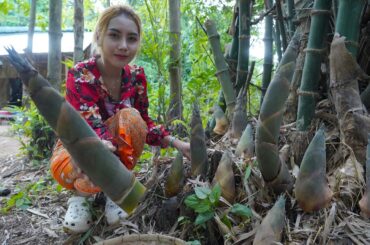 Fresh bamboo shoot and cook food recipe in my countryside - Polin lifestyle