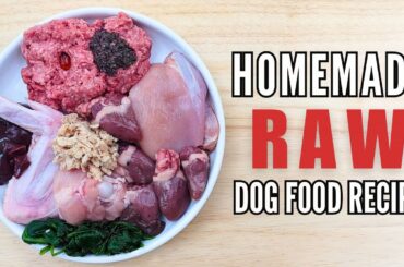 Simple Raw Food Recipe For Dogs (Beginner Friendly)