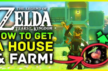 Zelda Tears Of The Kingdom How To Get A House & Farm! Hearty Radish Farming & Location