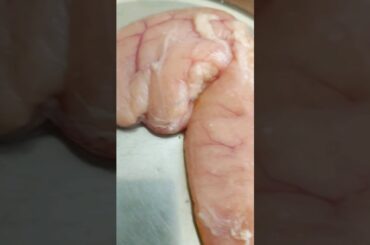 Easiest way to cook fish egg/simple fish roe fry recipe #asmr #youtubeshorts #shortsviral #shorts