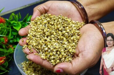 Simple breakfast recipes | Weight loss recipes | Quick recipes for breakfast