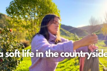 A Wholesome Day At My Rural Homestead