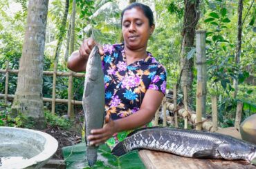 A healthy meal with traditional red rice and shol fish curry. .village kitchen recipe/fish recipe