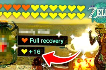 The Best Cooking Recipe in Tears of the Kingdom!