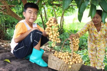 Seyhak and grandmother harvest Burmese grape and cooking - Sreypov life show