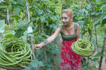 Fresh yard long bean in my garden and cook food recipe - Polin lifestyle