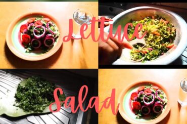 How To Prepare Tasty And Nourishing Lettuce Salad: The Easiest And Cheapest Way