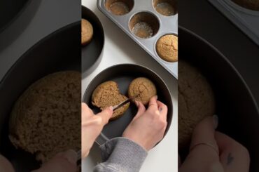 cinnamon apple oat muffins | healthy breakfast recipe