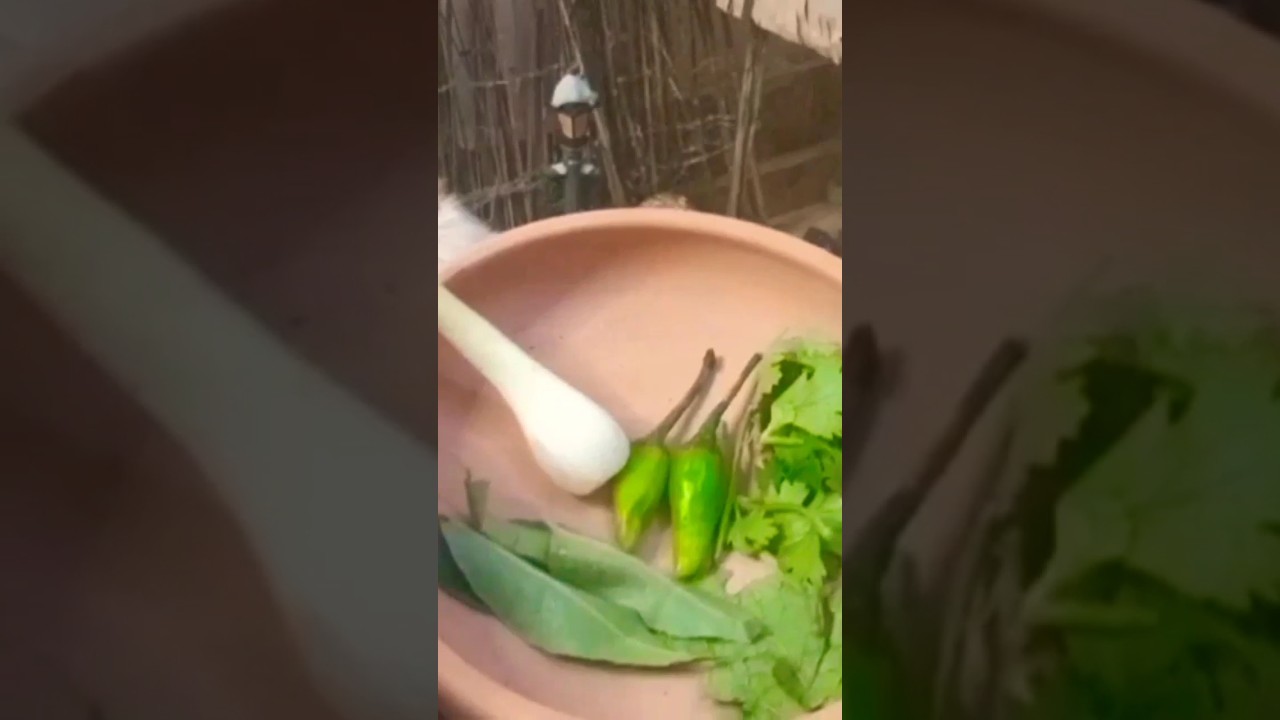 The Secret to Healthy Eating That No One Wants You to Know #shortsfeed #shorts #short The Secret to Healthy Eating That No One Wants You to Know #shortsfeed #shorts #short