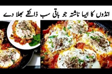 Shakshuka Is the King Of Egg Recipes ! The Most Delicious Breakfast Recipe In 5 Minutes Quick Recipe