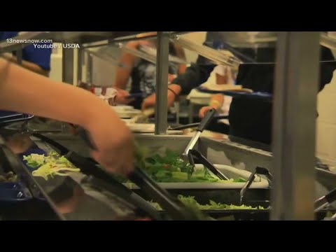 School meals are getting a makeover with healthier choices coming School meals are getting a makeover with healthier choices coming