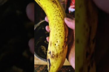 #shorts Oats Recipe for Weight Loss/Healthy Breakfast Recipe#shortsviral #shortsyoutube #shortsvideo