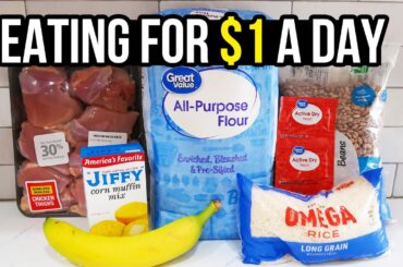 Eating for $1 a Day: Cheap and Healthy Meal Ideas You Need to Try
