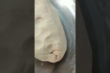 #trending #tasty #healthy capcicum pratha recipe #shorts