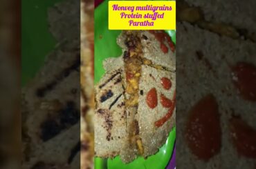 Multigrains Paratha/Veg & Nonveg @ Healthy Diet With Tasty Recipes