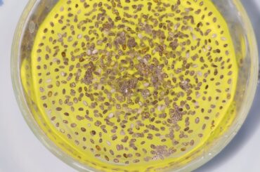 Chia Seeds for Weight loss - Simple & Tasty Summer Delight Sharbat