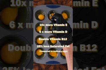 Strive for the best breakfast w/ #Egglandsbest Egg Bites! #shorts #ad #feedfeed