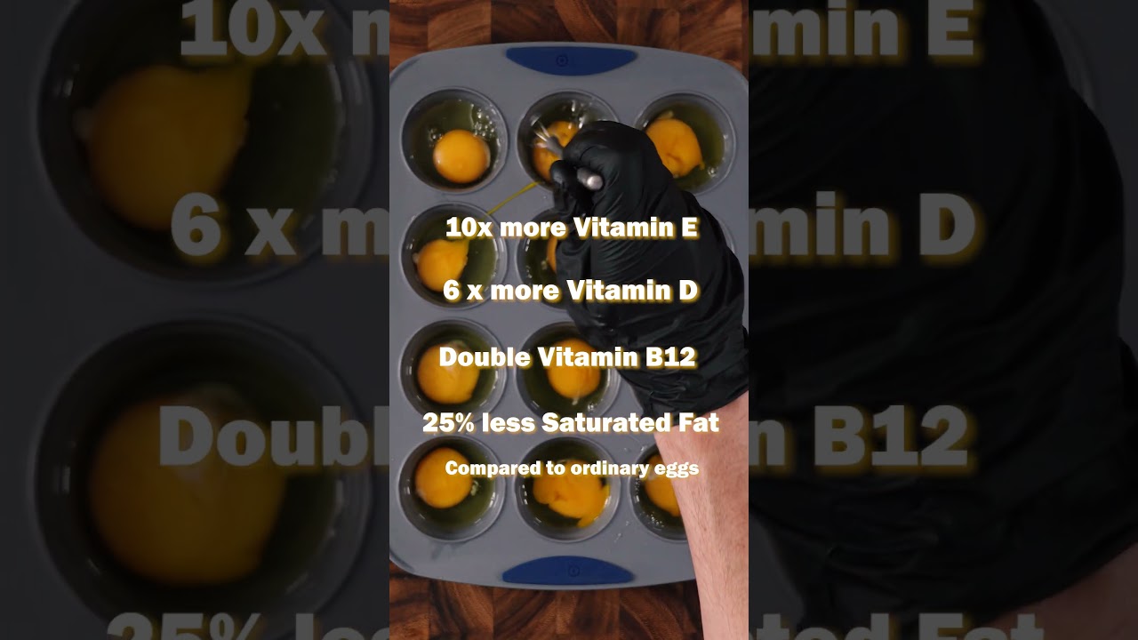 Strive for the best breakfast w/ #Egglandsbest Egg Bites! #shorts #ad #feedfeed Strive for the best breakfast w/ #Egglandsbest Egg Bites! #shorts #ad #feedfeed