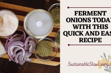 STEP BY STEP Fermented Onions Recipe [DELICIOUS And Healthy]