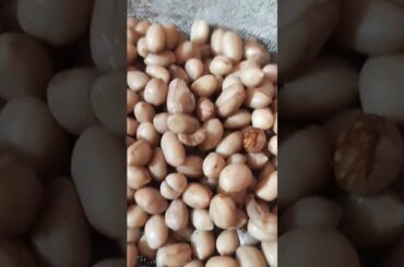 Healthy Protein snack #food #snacks #recipe #cookingsnacks