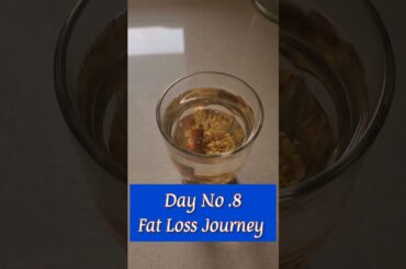 Day 8 Fat Loss Journey  | What I Eat In a Day For Weight Loss #weightloss #richnutrition #bellyfat