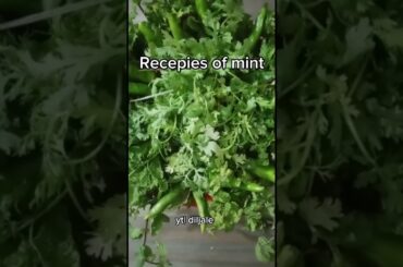 Healthy recipes of mint and chillies | Allah ki shaan #mintrecipes #mintchutneyrecipe #mintchutney
