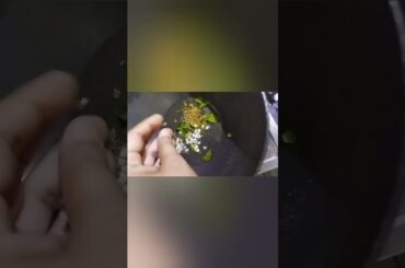 Healthy and Tasty Oats Upma | Good for Weight Loss | Weightloss Recipe #shorts #youtubeshorts#short