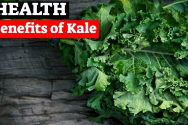 The Amazing Health Benefits of Kale - Kale Recipes for a Healthy Diet