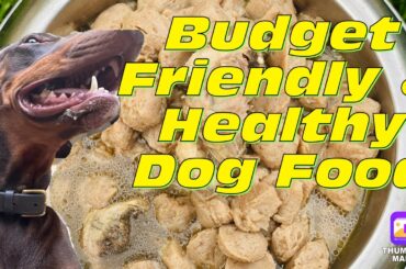 Healthy Homemade Dog Food | Low cost | Easy make |