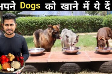 World's Cheapest Homemade & Healthy Food For Our Dog | Summer Diet For Dogs | Dog Food At Home