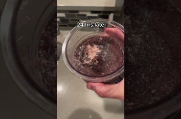 Ninja Creami Unboxing #food #lowcalorie #healthy #shorts #ninja #ninjacreami #asmr