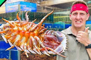 Japanese Chef Cooks Giant Sea Cockroach!! Nightmare Food Challenge!!