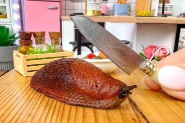 Miniature Cooking Adventure: Snail Recipe | Tiny Kitchen
