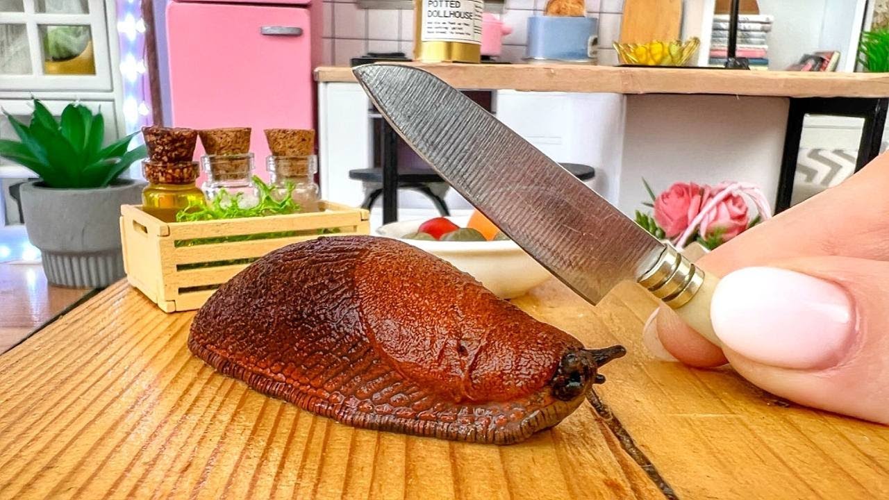 Miniature Cooking Adventure: Snail Recipe | Tiny Kitchen Miniature Cooking Adventure: Snail Recipe | Tiny Kitchen