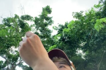 Healthy Cooking Nutritious Recipes for a Well Balanced Diet