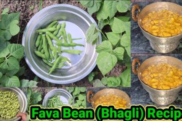 Bhagli Syuen | Fava Beans Recipe Healthy and Tasty