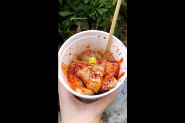 Breakfast To-Go Around The World