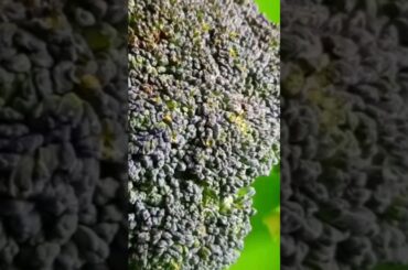 #cooking #health #healthy #youtubeshorts #cookingchannel #cookrecipe #food