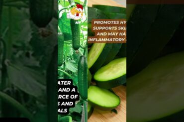 Do You Know Exploring the Health Benefits of Cucumber Vitamins, Minerals, and Healthy Living