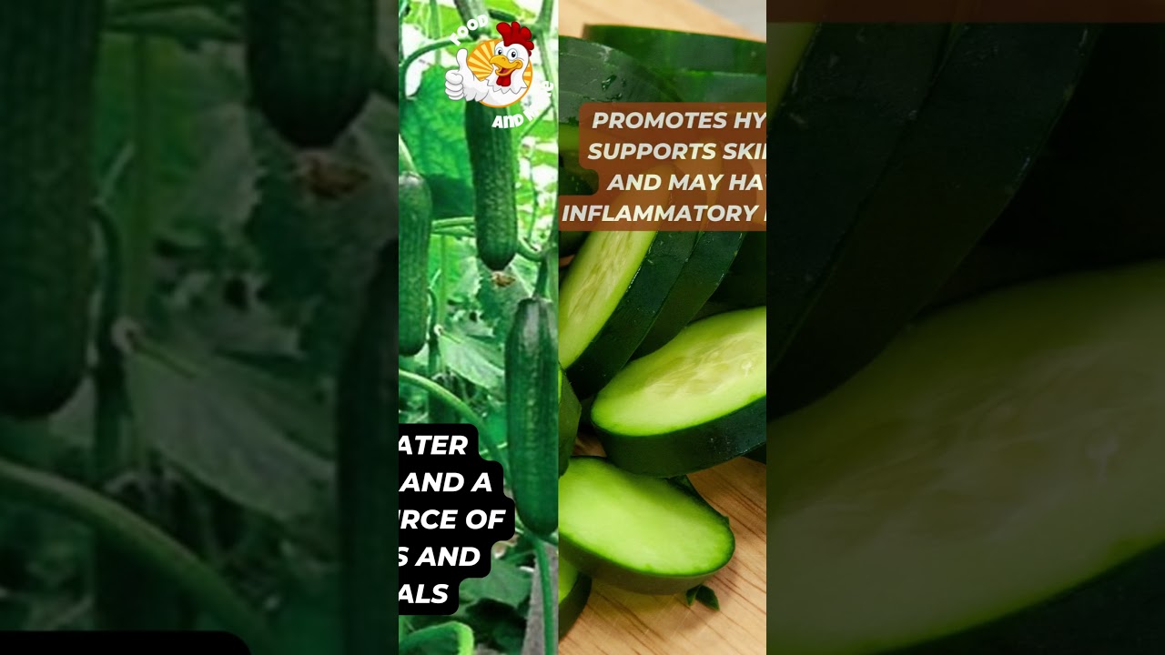 Do You Know Exploring the Health Benefits of Cucumber Vitamins, Minerals, and Healthy Living Do You Know Exploring the Health Benefits of Cucumber Vitamins, Minerals, and Healthy Living